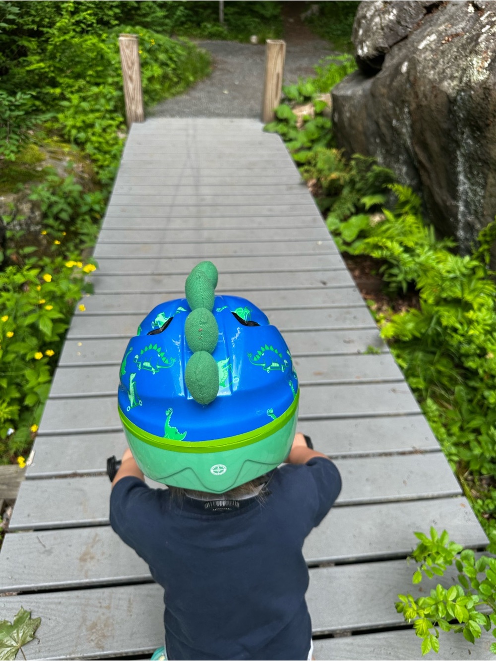Kids Dino bike helmet 12m+